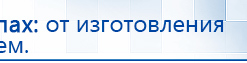 Электрод Скэнар - лицевой двойной Пешки купить в Славянск-на-кубани, Электроды Скэнар купить в Славянск-на-кубани, Скэнар официальный сайт - denasvertebra.ru